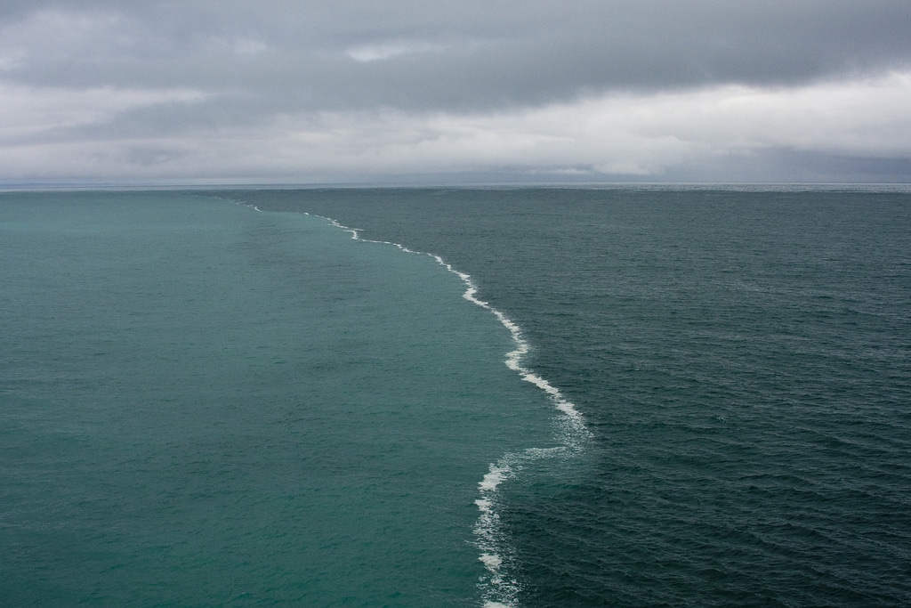 صورة التقطت في خليج ألاسكا عام 2013 من قبل Kent Smith