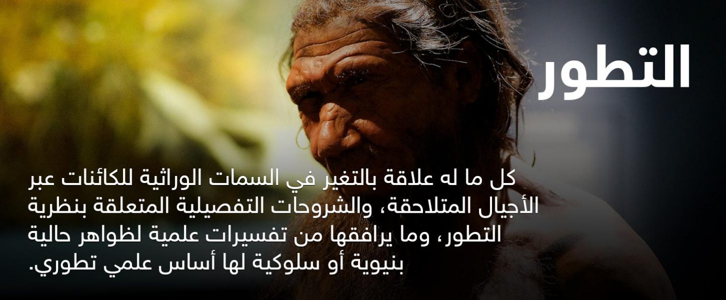 التطور