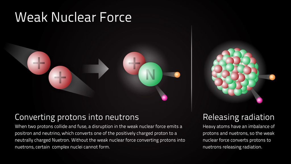 ما القوى الأساسية الأربع في الكون قوة الجاذبية القوة الكهرومغناطيسية القوة النووية الشديدة القوة النووية الضعيفة الجسيمات 