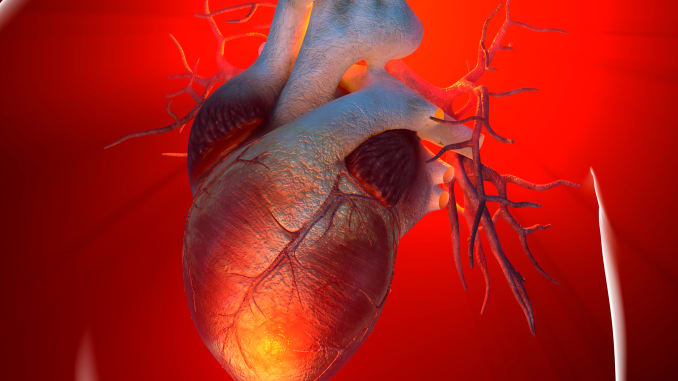 الناجون من نوبات قلبية أكثر عرضة للإصابة بالسرطان - أمراض التصلب العصيدي القلبية الوعائية ASCVD - خطر الإصابة بالسرطان - أمراض القلب