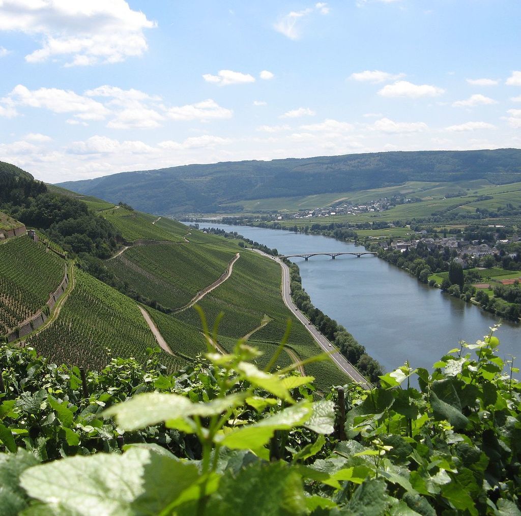 حقائق عن نهر الراين معلومات لم تكن تعرفها عن نهر الراين الحدود السويسرية النمساوية الحدود السويسرية الفرنسية أجمل أنهار أوروبا
