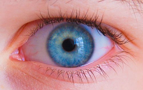 العيون الزرقاء ليست زرقاء لا وجود لعيون زرقاء من الأساس أنا