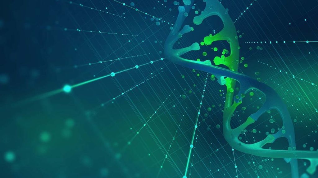 الشيفرة الوراثية الحمض النووي الخلايا