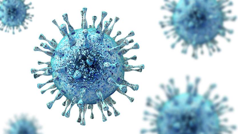 الفيروس المضخم للخلايا CMV: الأسباب والأعراض والتشخيص والعلاج الفيروسات الحلئية الهربس المناعة الضعيفة مرض ينتقل من الأم الحامل إلى الجنين