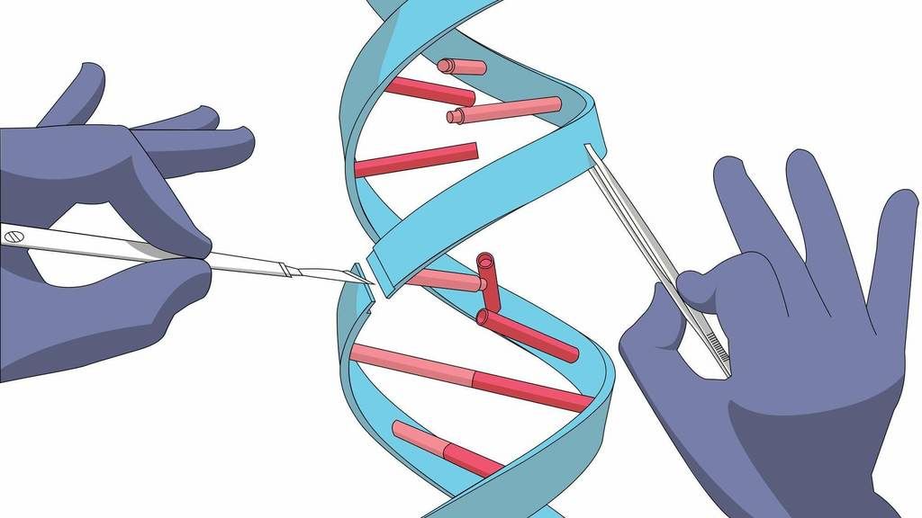 التعديل الجيني للأطفال التعديل الوراثي للإنسان