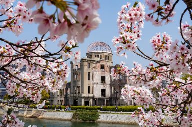 قضت القنبلة النووية على الحياة في جزء كبير من مدينة هيروشيما اليابانية عندما أُلقيت عليها في الحرب. الأشجار بعد القنبلة النووية هيروشيما