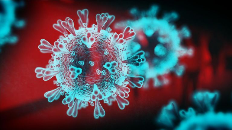 مؤامرة صنع فيروس كورونا مخبريًّا: إليكم الحقيقة - فيروس كورونا الجديد SARS-CoV-2 المسؤول عن تفشي مرض COVID-19 - عملية تطور طبيعي