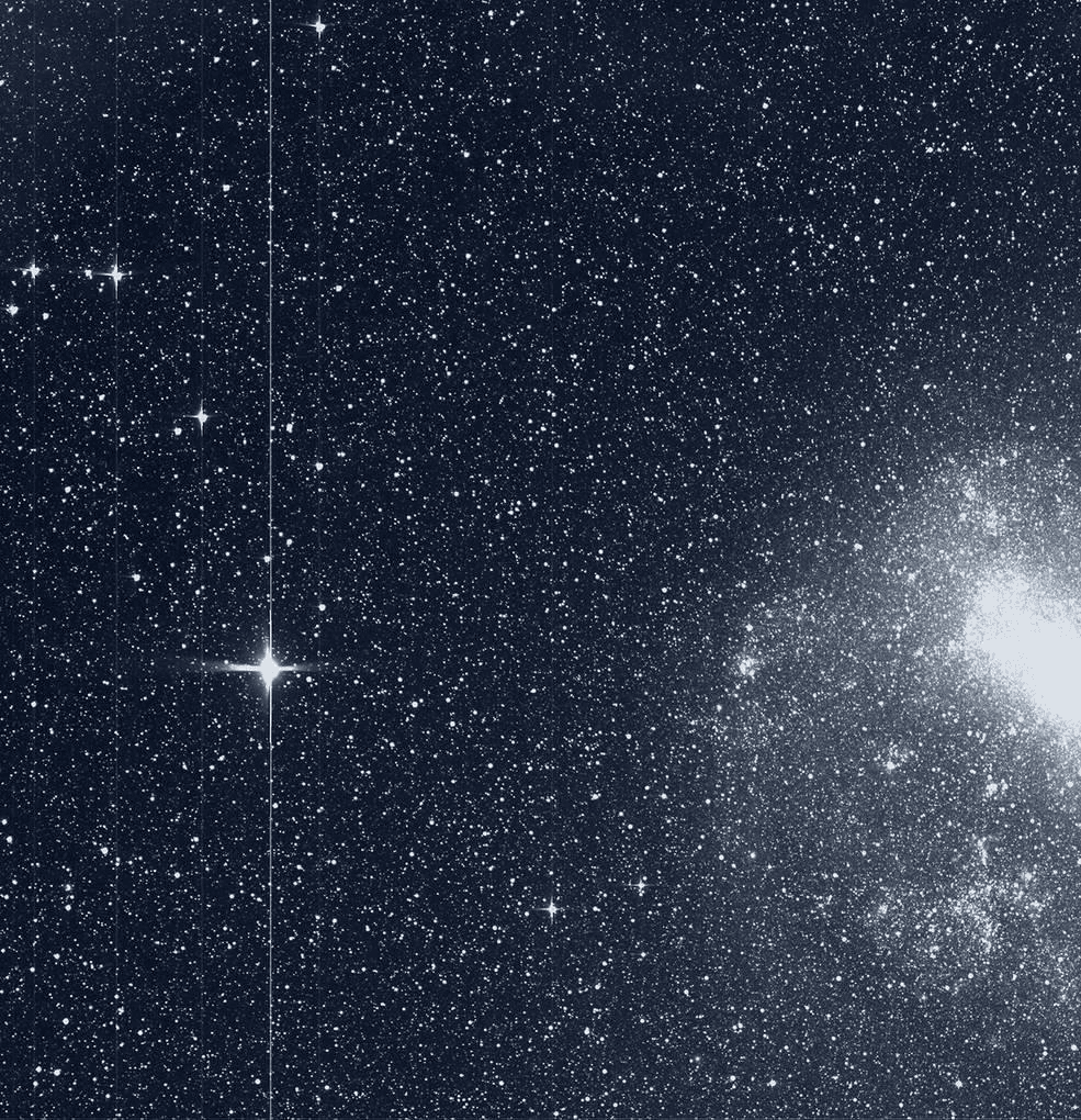 صورة لأول مجموعة بيانات من TESS . (TESS/NASA)