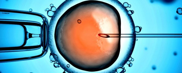 الصين تؤكد مولودها الثالث من تعديل كريسبر (CRISPR) - إنشاء أول أطفال معدلين جينيًّا في العالم - امرأة حامل بجنين معدل - التعديل الوراثي على الأجنة