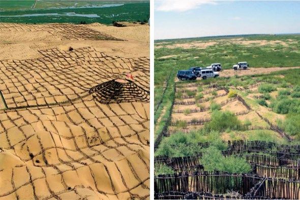 مشروع زراعة صحراء (فاست كوبوكي – Vast Kubuqi) في الصين نموذج لمشاريع إصلاح الأراضي في كل العالم