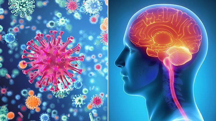 التهاب السحايا الفيروسي: الأسباب والأعراض والتشخيص التهاب في الأنسجة التي تحيط وتحمي أعضاء الجهاز العصبي المركزي السائل الدماغي الشوكي