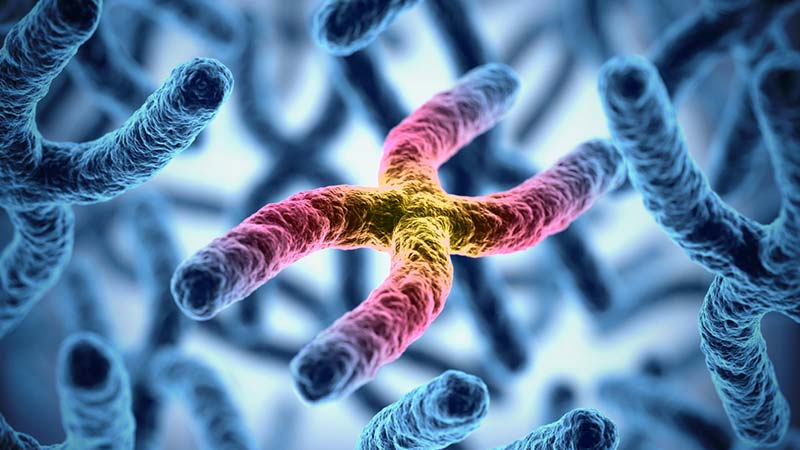 الجينات الحمض النووي الخلايا الأمراض