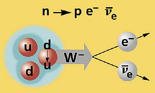 ما هي القوة النووية الضعيفة بوزونات z بوزونات w تحلل جسيم بيتا النموذج المعياري للجسيمات نواة الذرة الكواركات بوزون هيغز تحلل بيتا