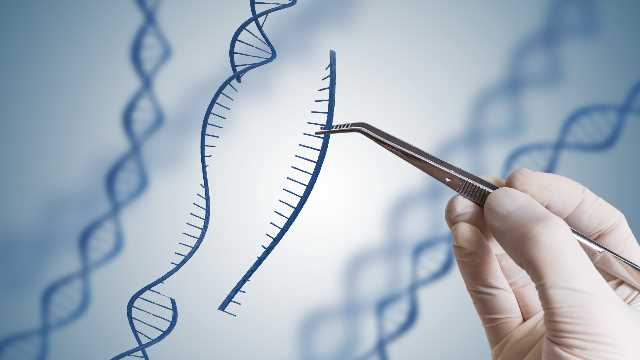 الجينات ما هو الجين ما أهميته وما مدى ارتباط صفتنا بالجينات
