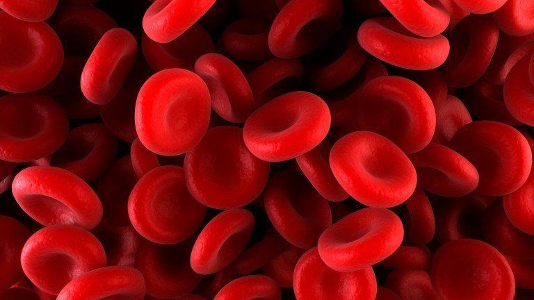 الثلاسيميا: أنيميا البحر الأبيض المتوسط اضطراب دموي وراثي يسبب بنقص اصطناع الهيموغلوبين hemoglobin أو إنتاجه بشكل شاذ كريات الدم الحمراء 