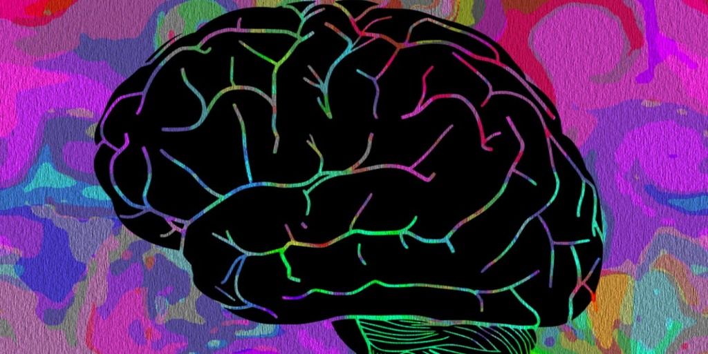 ماذا يحدث في الدماغ أثناء الهلوسة الآليات الدماغية التي تفسر حالة الهلوسة تأثير الحبوب المهلوسة على النشاط الدماغي الفصام