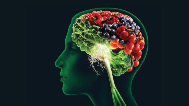 دارة دماغية تربط بين التغذية والمزاج بمثابة رد فعل للتوتر شبكة عصبية جديدة تقوم بتنظيم التغذية علاج التوتر المزمن باستخدام الطعام 
