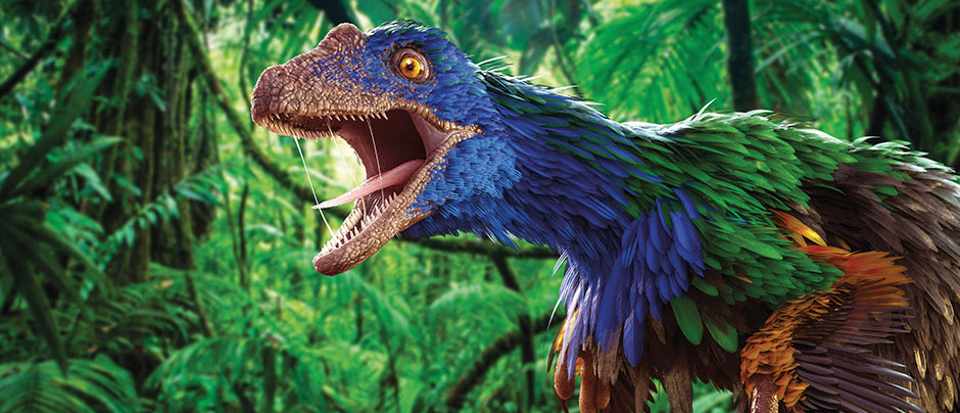 اكتشاف أحفورة تمثل حلقة وصل بين الديناصورات والطيور العصر الطباشيري (الكريتاسي Cretaceous) العصر الجوراسي علاقة الطيور بالديناصورات