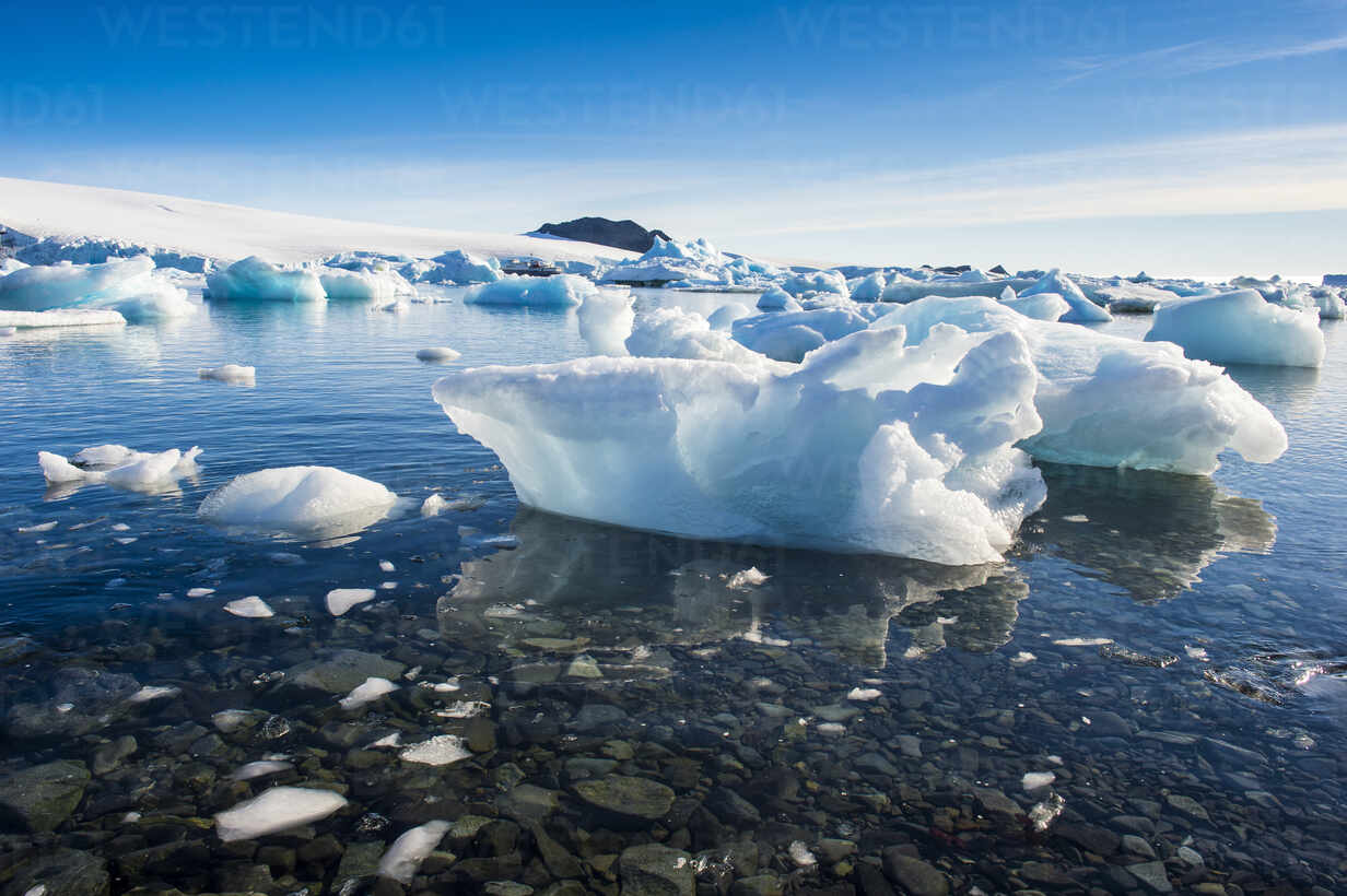 لماذا يطفو الجليد على سطح الماء عوضًا عن الغرق في القاع؟