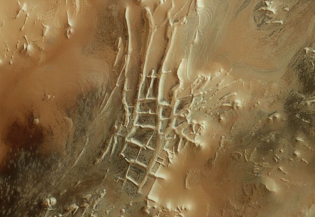 ما قصة صورة العناكب التي التُقطت على سطح المريخ؟