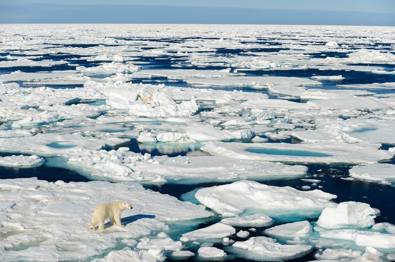 عشر حقائق لم تكن تعرفها عن القطب الشمالي مجموعة من المعلومات التي لم تكن تعرفها عن القطب الشماالي عيد الميلاد بابا نويل نشاطات في القطب الشمالي