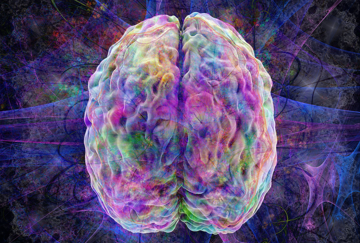 تخزين الذكريات الجديدة يسبب ضررًا لخلايا الدماغ