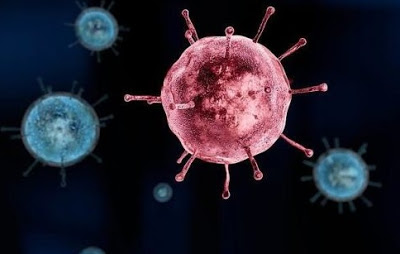 اكتشف العلماء فيروسًا غامضًا في البرازيل بدون جينات معروفة يمكنهم التعرف عليها - فيروس جديد مجهول الهوية في البرازيل - فيروس يارا